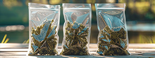 Promotion CBD : 2 produits achetés = 1 gratuit
